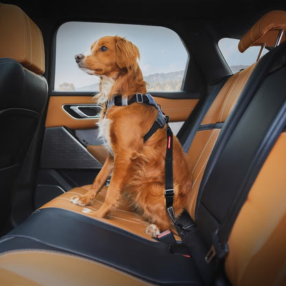 Click - Dog Seat Belt Car Restraint - 17in - 26in
