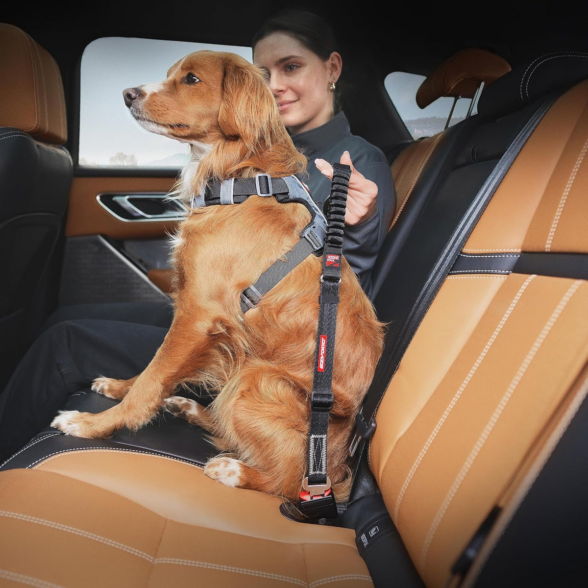 Click - Dog Seat Belt Car Restraint - 17in - 26in