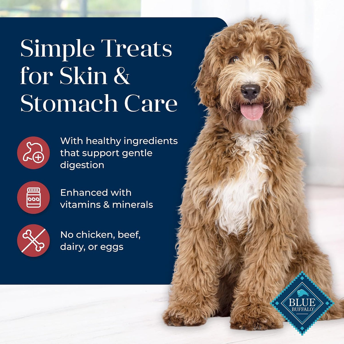 Blue Buffalo Basics Salmon Skin & Stomach Care Dog Biscuits, 6 oz