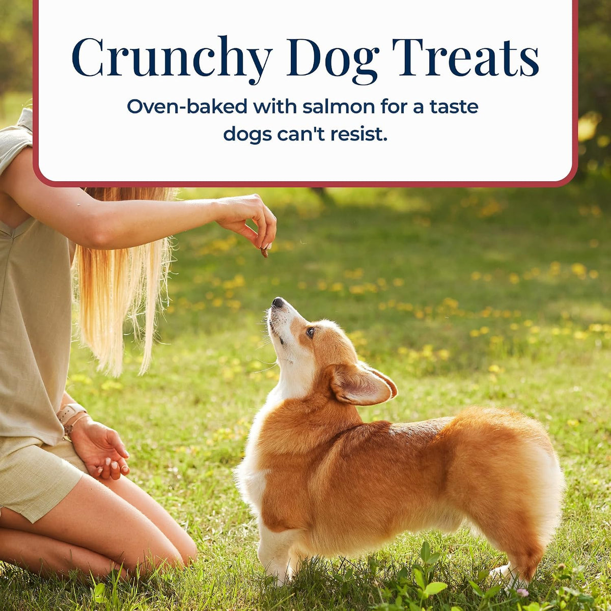 Blue Buffalo Basics Salmon Skin & Stomach Care Dog Biscuits, 6 oz