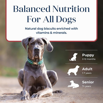 Blue Buffalo Basics Salmon Skin & Stomach Care Dog Biscuits, 6 oz