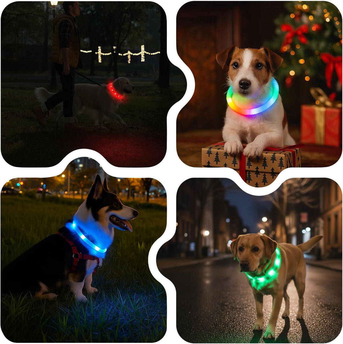 LED Dog Collar,USB Rechargeable Glowing Dog Collars, Light Up Collar Improved Pet Safety &Visibility at Night, 3 Flashing Modes,Water-Resistant LED Lighted Fits for Small Medium Large Dogs