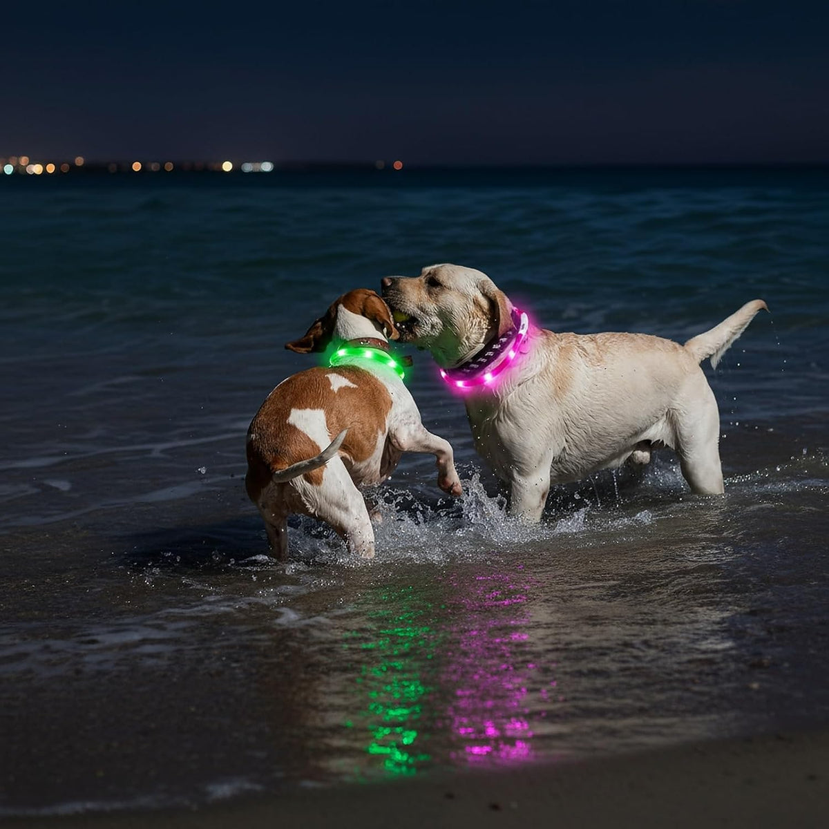 LED Dog Collar,USB Rechargeable Glowing Dog Collars, Light Up Collar Improved Pet Safety &Visibility at Night, 3 Flashing Modes,Water-Resistant LED Lighted Fits for Small Medium Large Dogs