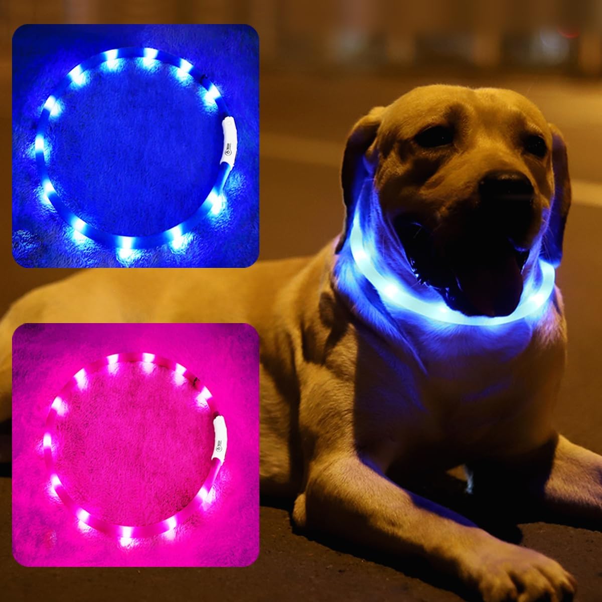 LED Dog Collar,USB Rechargeable Glowing Dog Collars, Light Up Collar Improved Pet Safety &Visibility at Night, 3 Flashing Modes,Water-Resistant LED Lighted Fits for Small Medium Large Dogs