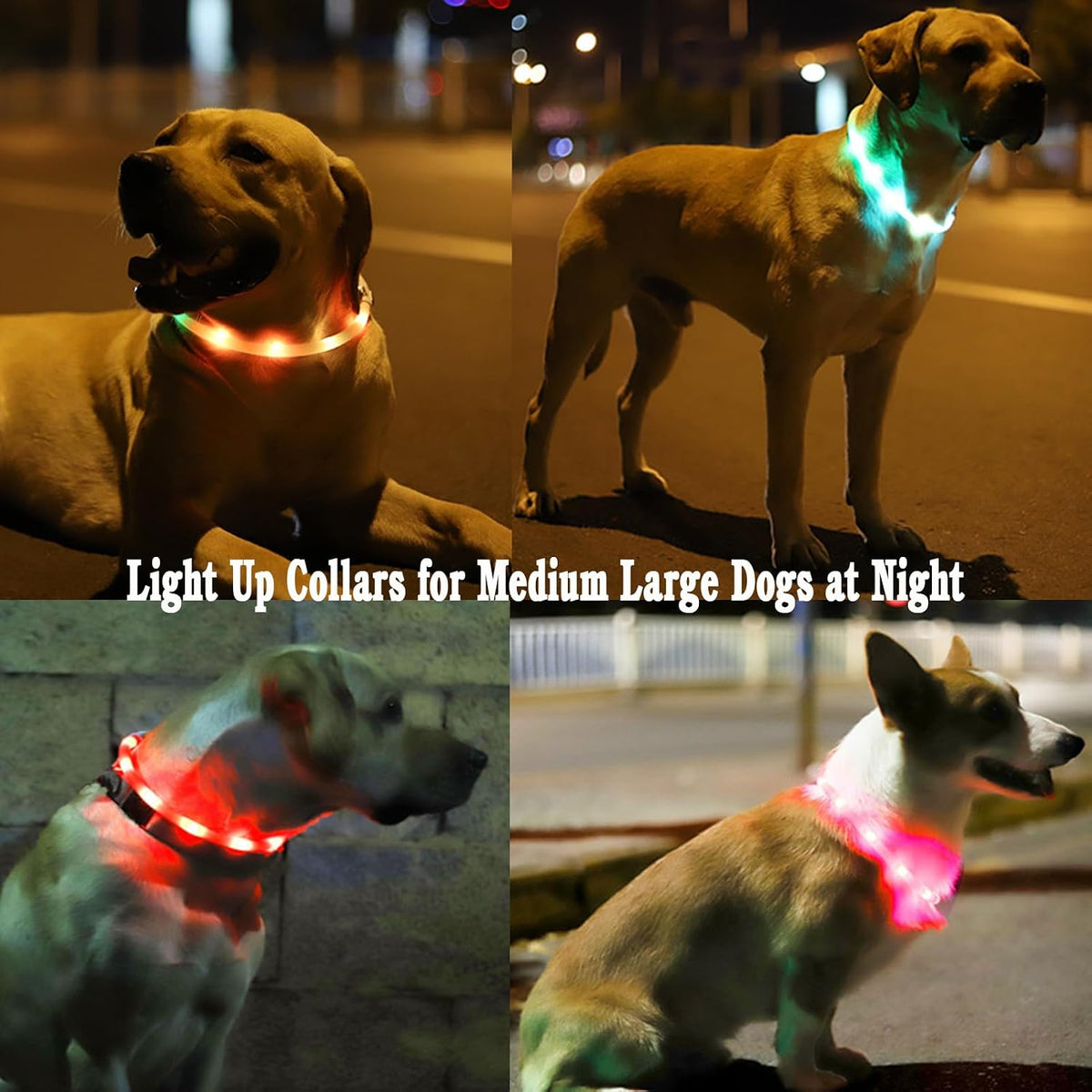 LED Dog Collar,USB Rechargeable Glowing Dog Collars, Light Up Collar Improved Pet Safety &Visibility at Night, 3 Flashing Modes,Water-Resistant LED Lighted Fits for Small Medium Large Dogs