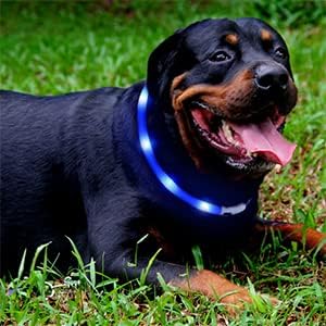 LED Dog Collar,USB Rechargeable Glowing Dog Collars, Light Up Collar Improved Pet Safety &Visibility at Night, 3 Flashing Modes,Water-Resistant LED Lighted Fits for Small Medium Large Dogs