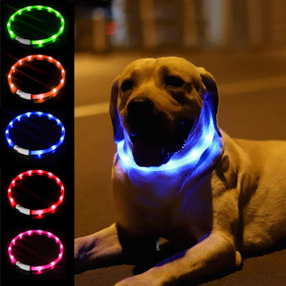 LED Dog Collar,USB Rechargeable Glowing Dog Collars, Light Up Collar Improved Pet Safety &Visibility at Night, 3 Flashing Modes,Water-Resistant LED Lighted Fits for Small Medium Large Dogs