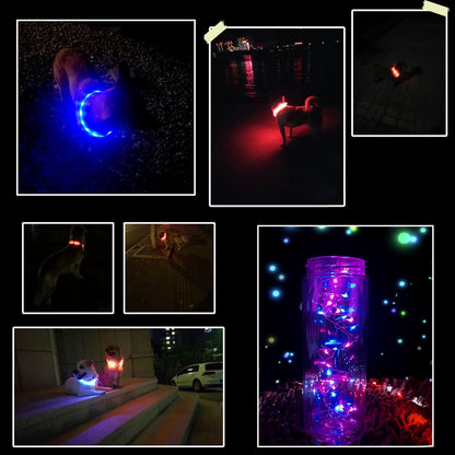 LED Dog Collar,USB Rechargeable Glowing Dog Collars, Light Up Collar Improved Pet Safety &Visibility at Night, 3 Flashing Modes,Water-Resistant LED Lighted Fits for Small Medium Large Dogs