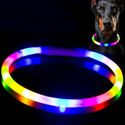 LED Dog Collar,USB Rechargeable Glowing Dog Collars, Light Up Collar Improved Pet Safety &Visibility at Night, 3 Flashing Modes,Water-Resistant LED Lighted Fits for Small Medium Large Dogs