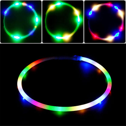 LED Dog Collar,USB Rechargeable Glowing Dog Collars, Light Up Collar Improved Pet Safety &Visibility at Night, 3 Flashing Modes,Water-Resistant LED Lighted Fits for Small Medium Large Dogs