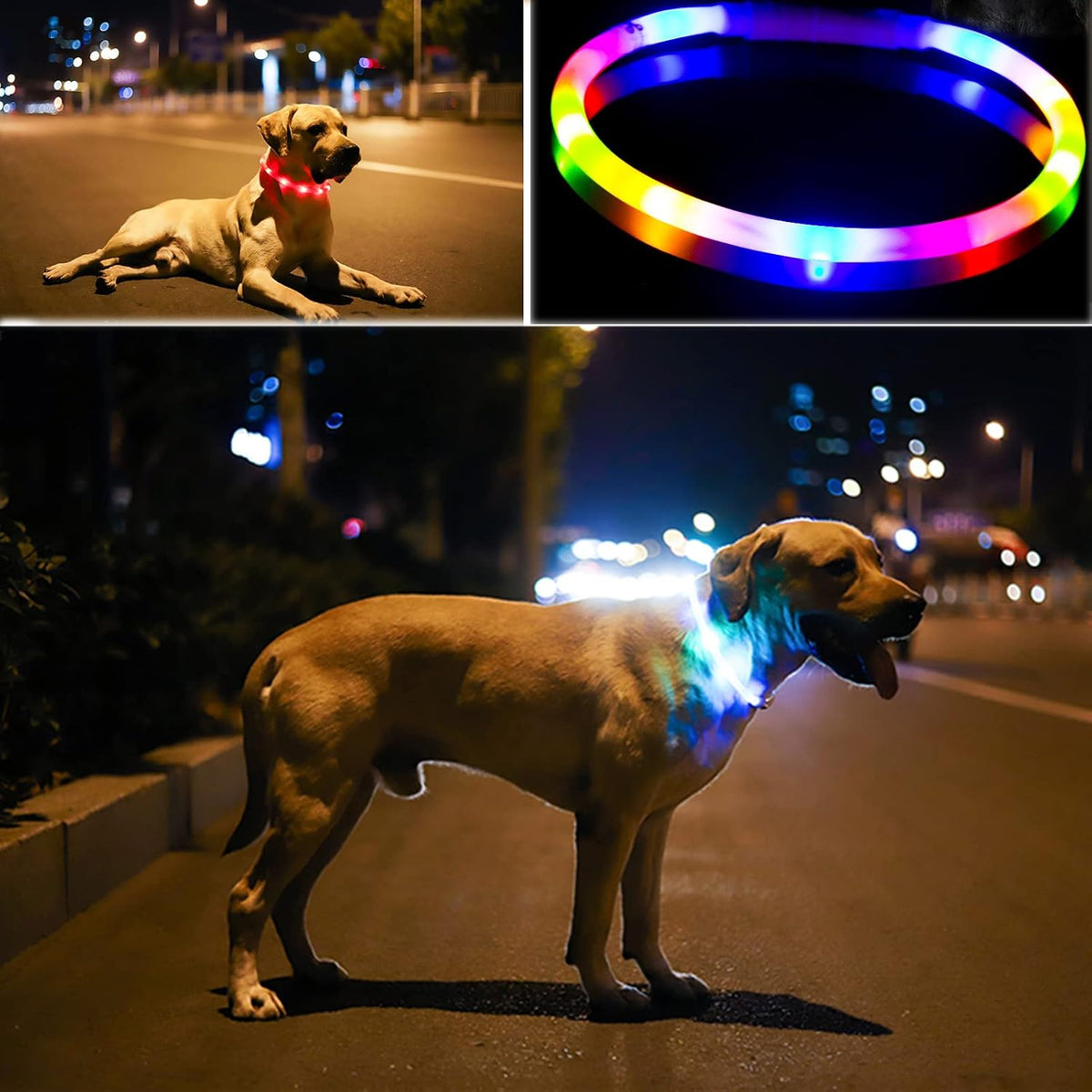 LED Dog Collar,USB Rechargeable Glowing Dog Collars, Light Up Collar Improved Pet Safety &Visibility at Night, 3 Flashing Modes,Water-Resistant LED Lighted Fits for Small Medium Large Dogs