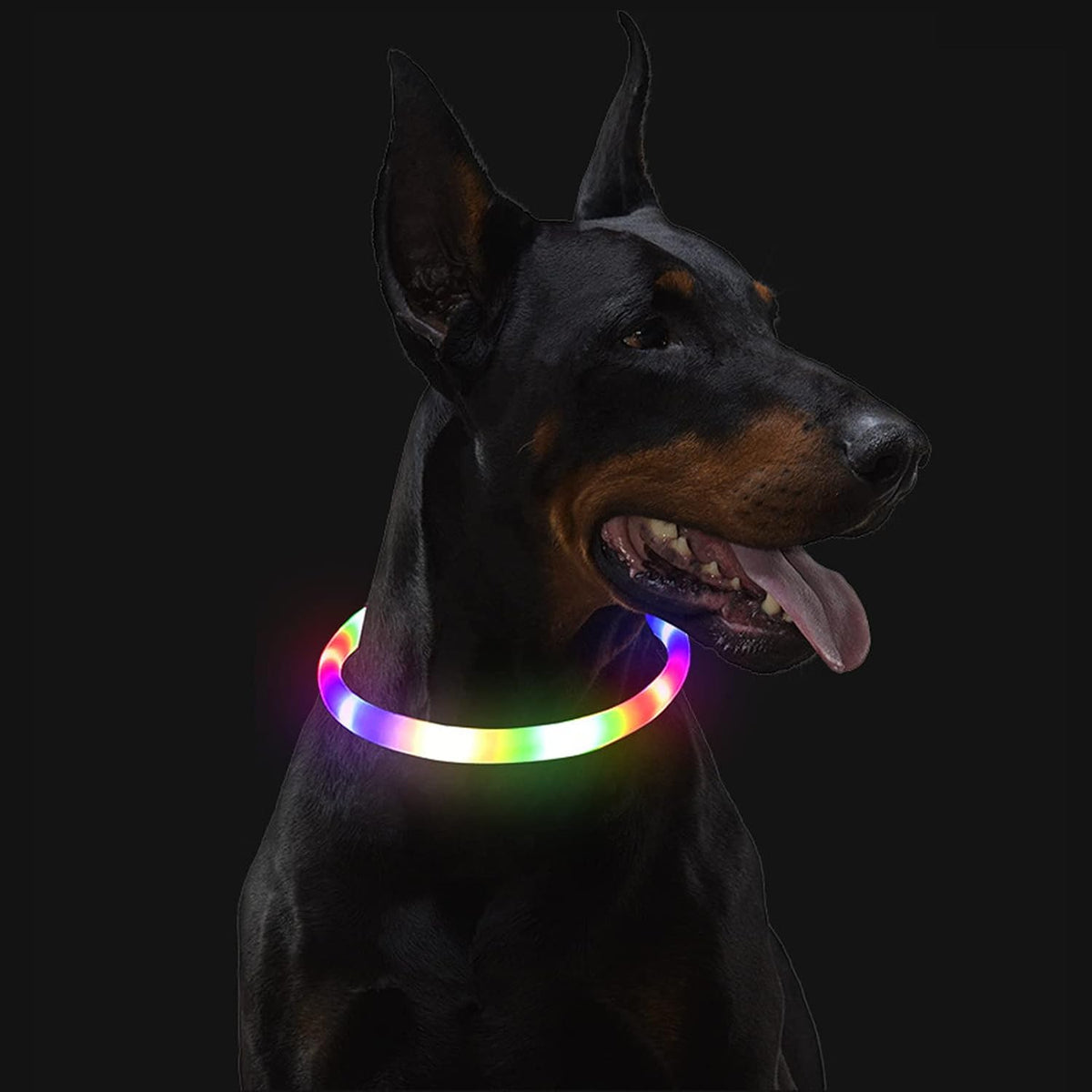 LED Dog Collar,USB Rechargeable Glowing Dog Collars, Light Up Collar Improved Pet Safety &Visibility at Night, 3 Flashing Modes,Water-Resistant LED Lighted Fits for Small Medium Large Dogs