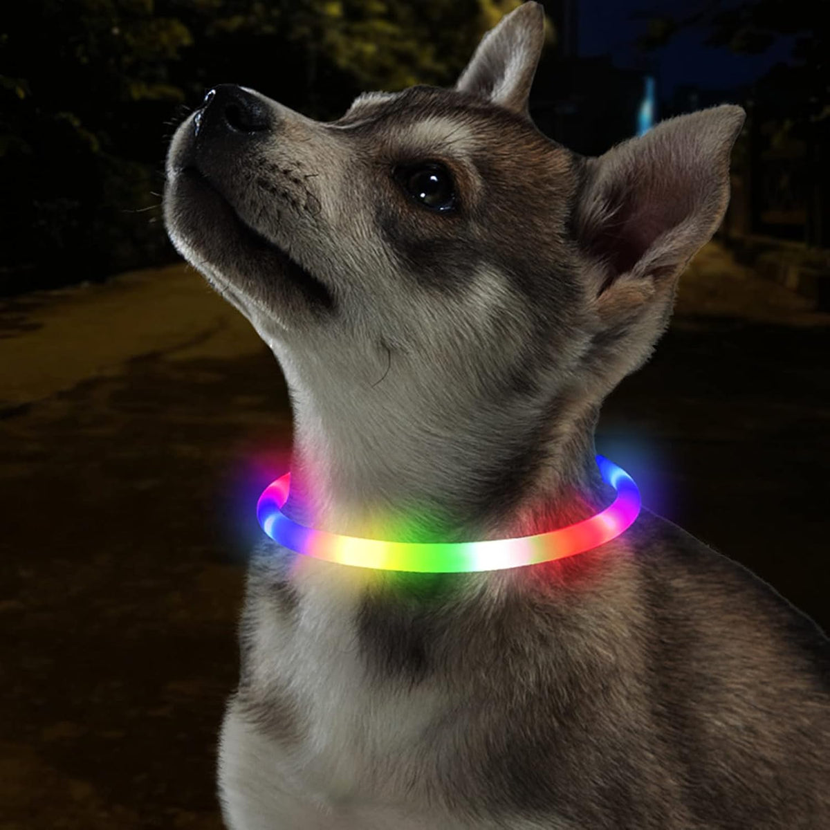 LED Dog Collar,USB Rechargeable Glowing Dog Collars, Light Up Collar Improved Pet Safety &Visibility at Night, 3 Flashing Modes,Water-Resistant LED Lighted Fits for Small Medium Large Dogs