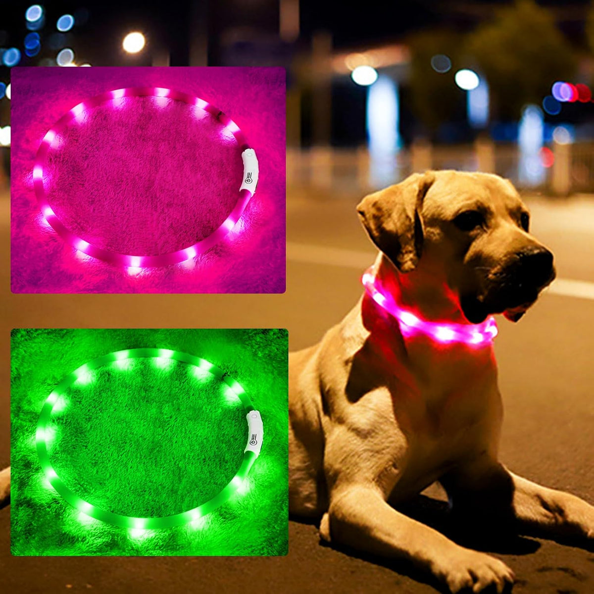 LED Dog Collar,USB Rechargeable Glowing Dog Collars, Light Up Collar Improved Pet Safety &Visibility at Night, 3 Flashing Modes,Water-Resistant LED Lighted Fits for Small Medium Large Dogs