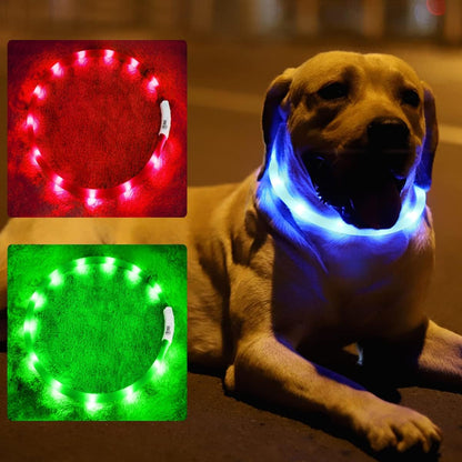 LED Dog Collar,USB Rechargeable Glowing Dog Collars, Light Up Collar Improved Pet Safety &Visibility at Night, 3 Flashing Modes,Water-Resistant LED Lighted Fits for Small Medium Large Dogs