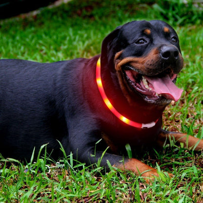 LED Dog Collar,USB Rechargeable Glowing Dog Collars, Light Up Collar Improved Pet Safety &Visibility at Night, 3 Flashing Modes,Water-Resistant LED Lighted Fits for Small Medium Large Dogs