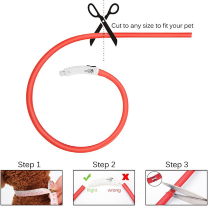 LED Dog Collar,USB Rechargeable Glowing Dog Collars, Light Up Collar Improved Pet Safety &Visibility at Night, 3 Flashing Modes,Water-Resistant LED Lighted Fits for Small Medium Large Dogs
