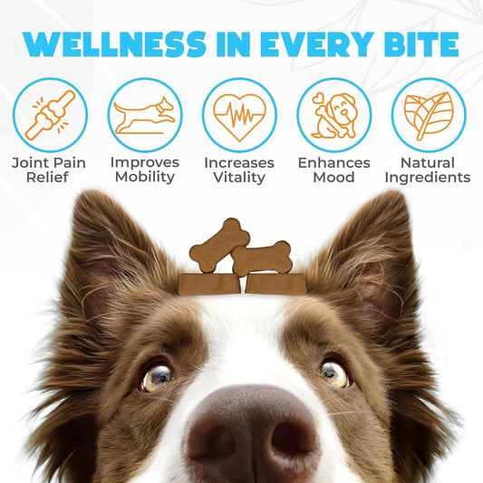 Glucosamine HCL & Hip and Joint Chews for Dogs - 150 pcs - Advanced Hip and Joint Support for Senior Dogs - with MSM & Green Lipped Mussel - Chicken