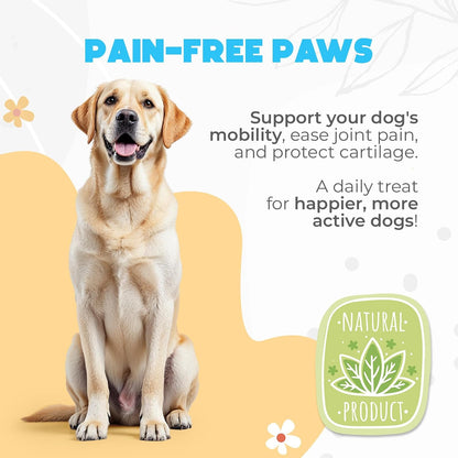 Glucosamine HCL & Hip and Joint Chews for Dogs - 150 pcs - Advanced Hip and Joint Support for Senior Dogs - with MSM & Green Lipped Mussel - Chicken
