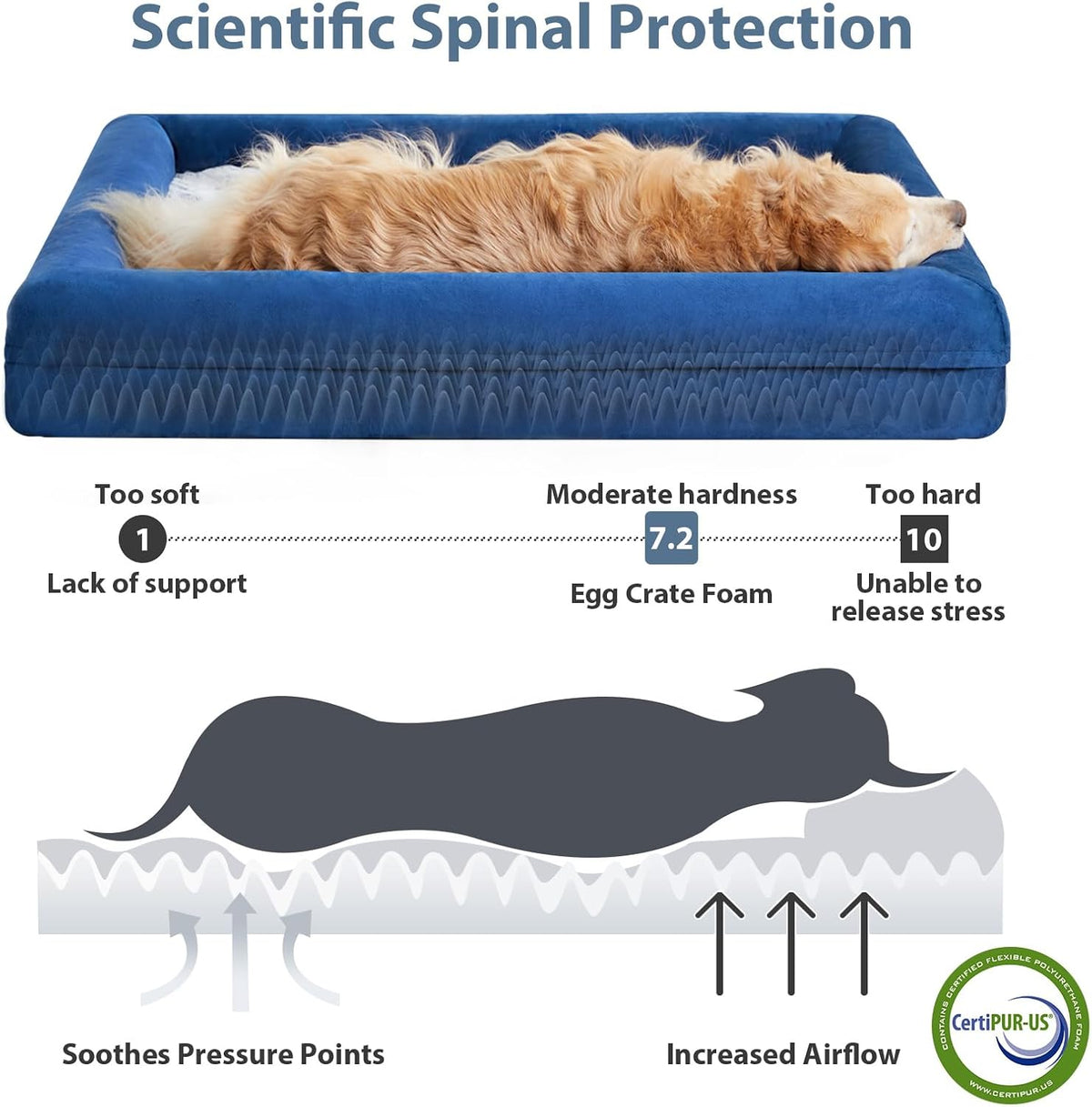 WNPETHOME XL Extra Large Orthopedic for Senior Dog Bed Comfy Sleeping