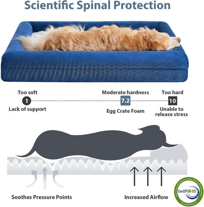 WNPETHOME XL Extra Large Orthopedic for Senior Dog Bed Comfy Sleeping