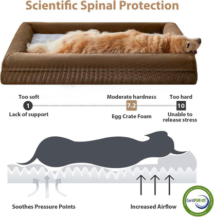 WNPETHOME XL Extra Large Orthopedic for Senior Dog Bed Comfy Sleeping