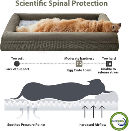 WNPETHOME XL Extra Large Orthopedic for Senior Dog Bed Comfy Sleeping