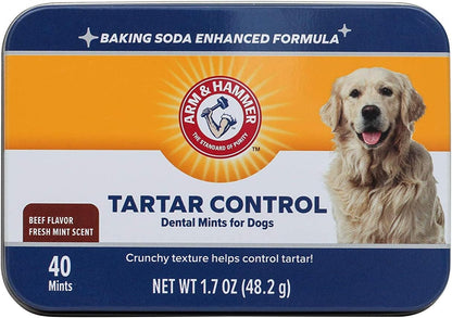 Tartar Control Dental Mints for Dogs, Beef Flavor, 40 Count