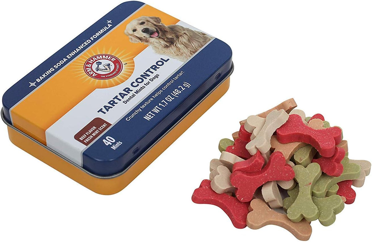 Tartar Control Dental Mints for Dogs, Beef Flavor, 40 Count