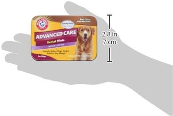 Tartar Control Dental Mints for Dogs, Beef Flavor, 40 Count
