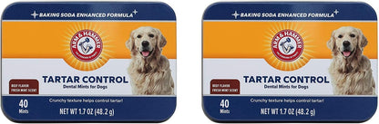 Tartar Control Dental Mints for Dogs, Beef Flavor, 40 Count
