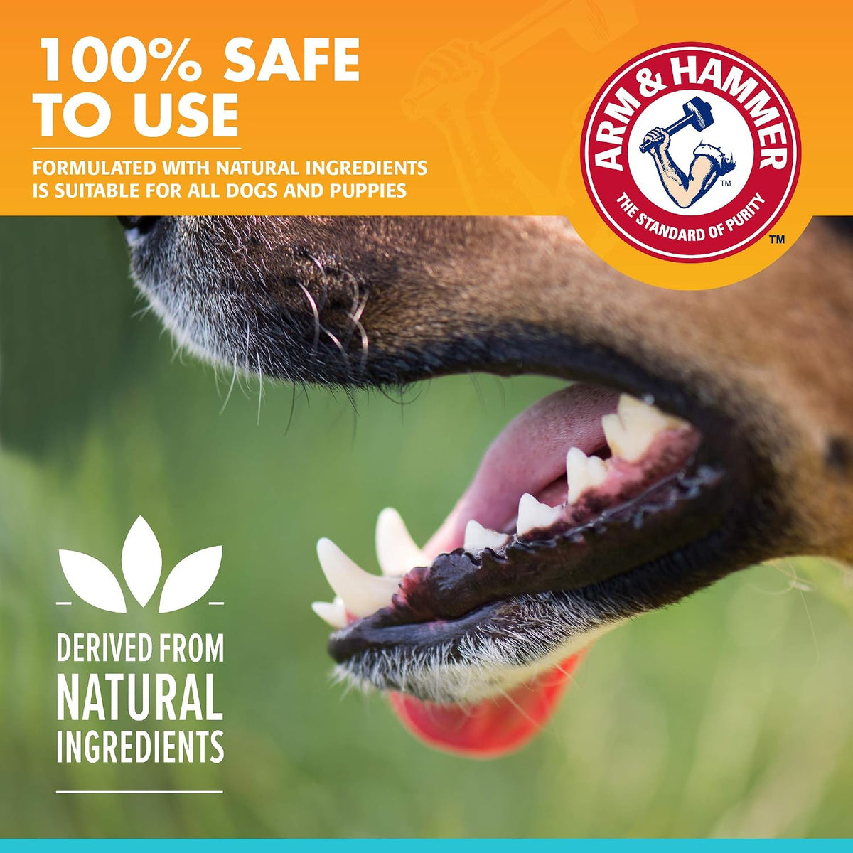 Tartar Control Dental Mints for Dogs, Beef Flavor, 40 Count