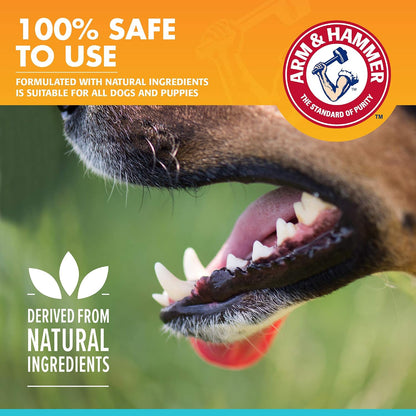 Tartar Control Dental Mints for Dogs, Beef Flavor, 40 Count