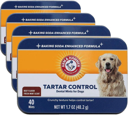 Tartar Control Dental Mints for Dogs, Beef Flavor, 40 Count