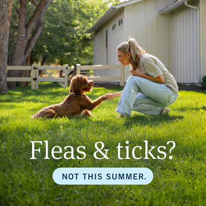 Plus Flea & Tick Topical Dogs 45-88 lbs, 3-Month