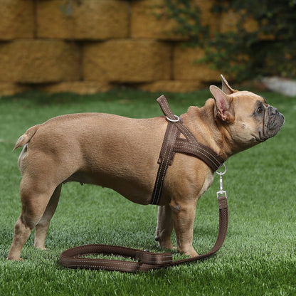 No Pull Dog Harness for Medium Sized Dog, Breathable Mesh Padded | Adjustable Reflective with Handle, Escape Proof, Quick Fit Pet Vest, with Front Clip, for Training and Walking, Beige, M