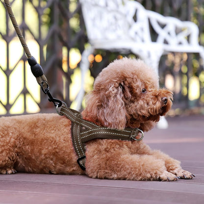 No Pull Dog Harness for Medium Sized Dog, Breathable Mesh Padded | Adjustable Reflective with Handle, Escape Proof, Quick Fit Pet Vest, with Front Clip, for Training and Walking, Beige, M