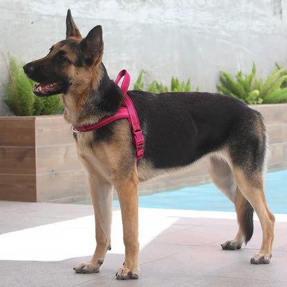 No Pull Dog Harness for Medium Sized Dog, Breathable Mesh Padded | Adjustable Reflective with Handle, Escape Proof, Quick Fit Pet Vest, with Front Clip, for Training and Walking, Beige, M