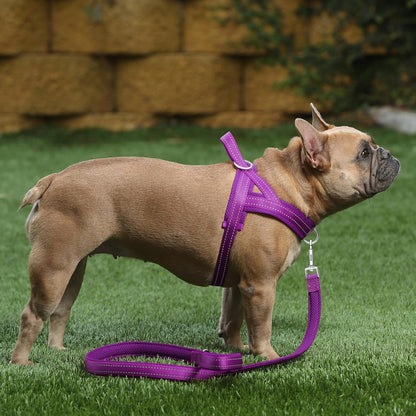 No Pull Dog Harness for Medium Sized Dog, Breathable Mesh Padded | Adjustable Reflective with Handle, Escape Proof, Quick Fit Pet Vest, with Front Clip, for Training and Walking, Beige, M