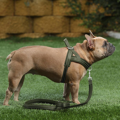 No Pull Dog Harness for Medium Sized Dog, Breathable Mesh Padded | Adjustable Reflective with Handle, Escape Proof, Quick Fit Pet Vest, with Front Clip, for Training and Walking, Beige, M