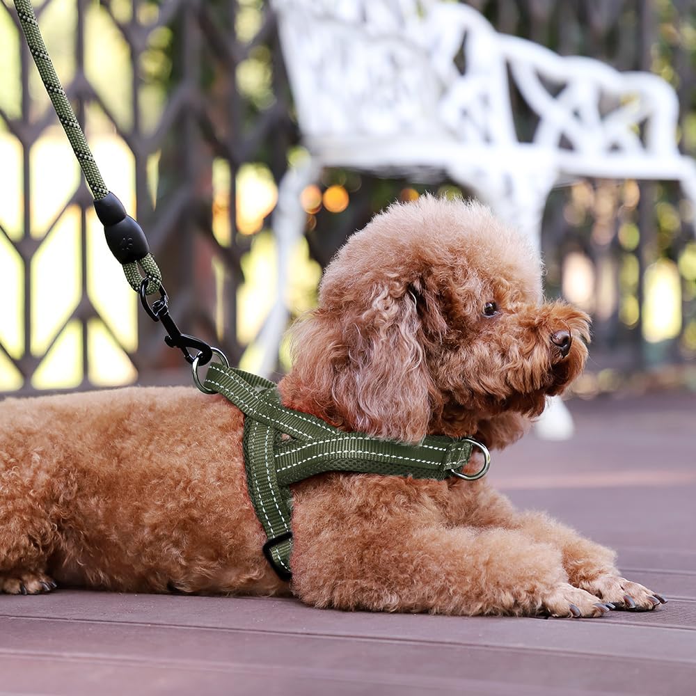 No Pull Dog Harness for Medium Sized Dog, Breathable Mesh Padded | Adjustable Reflective with Handle, Escape Proof, Quick Fit Pet Vest, with Front Clip, for Training and Walking, Beige, M