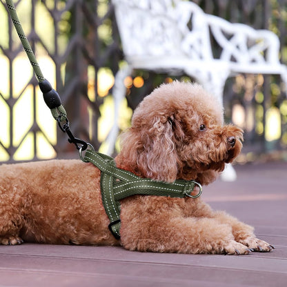 No Pull Dog Harness for Medium Sized Dog, Breathable Mesh Padded | Adjustable Reflective with Handle, Escape Proof, Quick Fit Pet Vest, with Front Clip, for Training and Walking, Beige, M