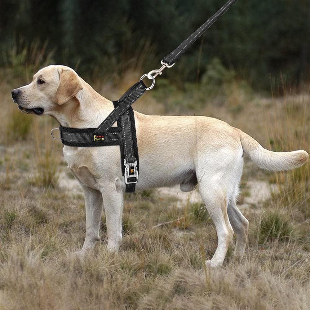 No Pull Dog Harness for Medium Sized Dog, Breathable Mesh Padded | Adjustable Reflective with Handle, Escape Proof, Quick Fit Pet Vest, with Front Clip, for Training and Walking, Beige, M