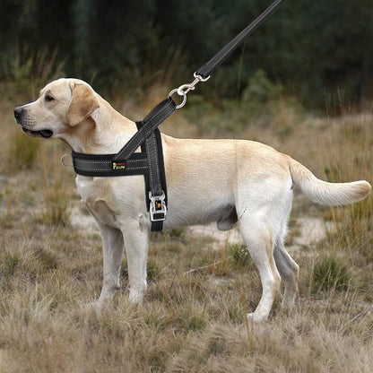 No Pull Dog Harness for Medium Sized Dog, Breathable Mesh Padded | Adjustable Reflective with Handle, Escape Proof, Quick Fit Pet Vest, with Front Clip, for Training and Walking, Beige, M