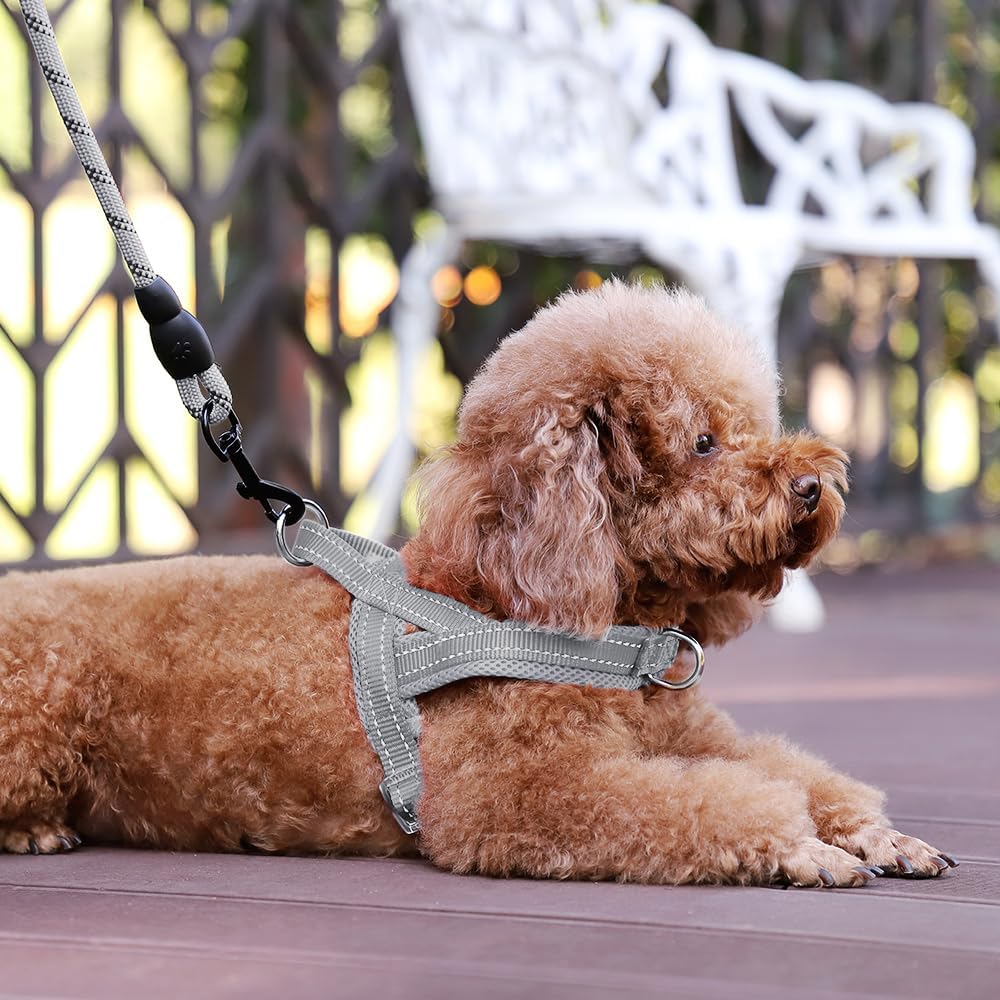 No Pull Dog Harness for Medium Sized Dog, Breathable Mesh Padded | Adjustable Reflective with Handle, Escape Proof, Quick Fit Pet Vest, with Front Clip, for Training and Walking, Beige, M