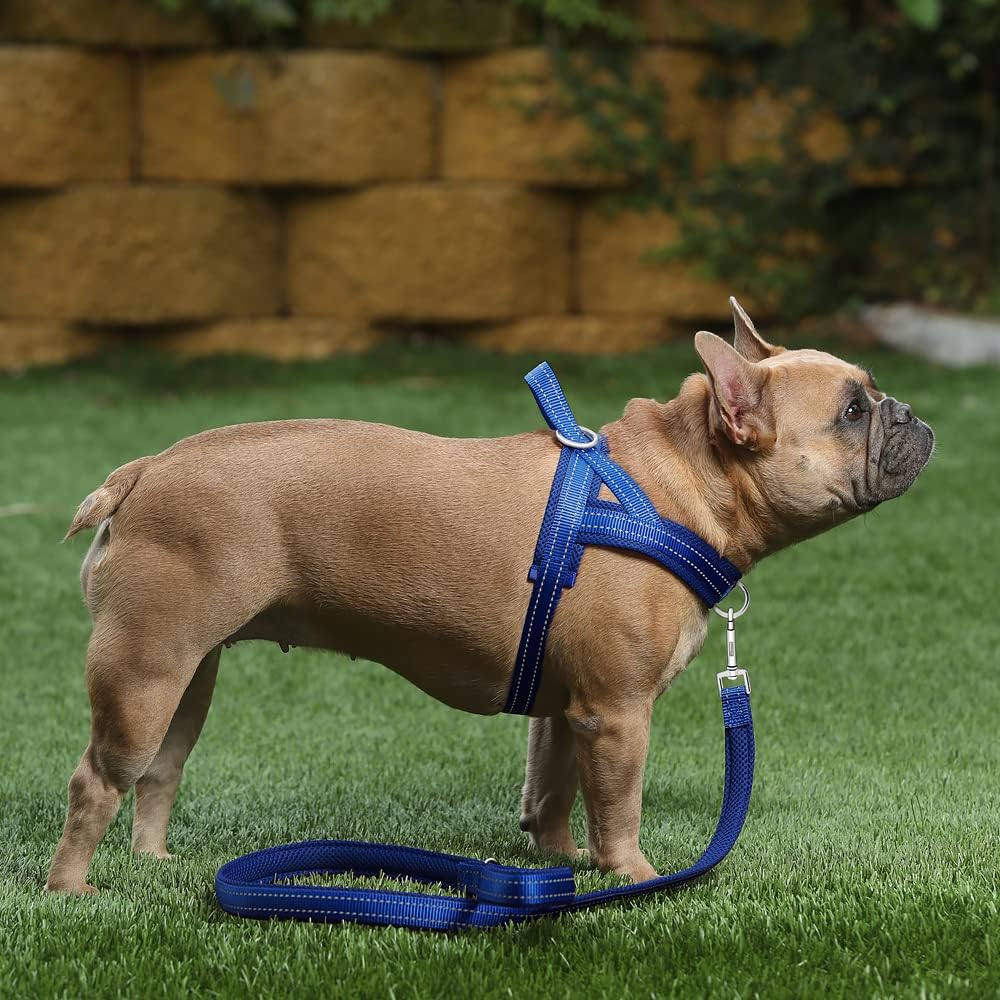No Pull Dog Harness for Medium Sized Dog, Breathable Mesh Padded | Adjustable Reflective with Handle, Escape Proof, Quick Fit Pet Vest, with Front Clip, for Training and Walking, Beige, M