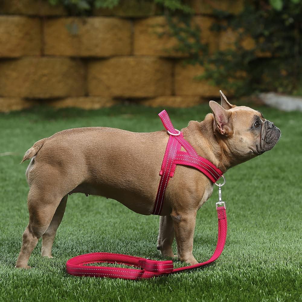 No Pull Dog Harness for Medium Sized Dog, Breathable Mesh Padded | Adjustable Reflective with Handle, Escape Proof, Quick Fit Pet Vest, with Front Clip, for Training and Walking, Beige, M