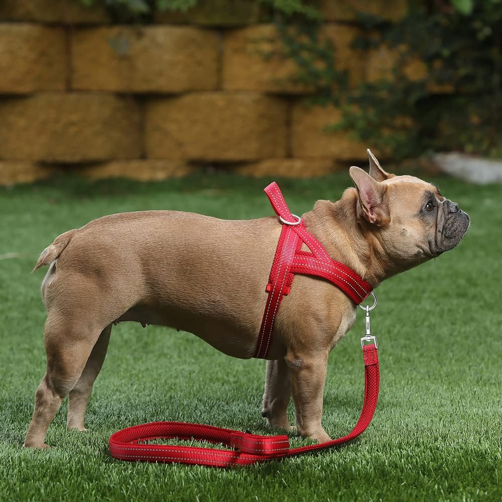 No Pull Dog Harness for Medium Sized Dog, Breathable Mesh Padded | Adjustable Reflective with Handle, Escape Proof, Quick Fit Pet Vest, with Front Clip, for Training and Walking, Beige, M