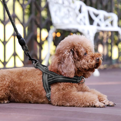 No Pull Dog Harness for Medium Sized Dog, Breathable Mesh Padded | Adjustable Reflective with Handle, Escape Proof, Quick Fit Pet Vest, with Front Clip, for Training and Walking, Beige, M