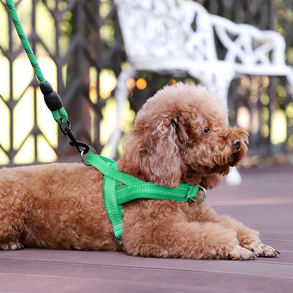 No Pull Dog Harness for Medium Sized Dog, Breathable Mesh Padded | Adjustable Reflective with Handle, Escape Proof, Quick Fit Pet Vest, with Front Clip, for Training and Walking, Beige, M